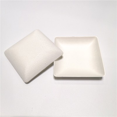 Disposable Sugarcane Plate Biodegradable Square Shape Mini Plate