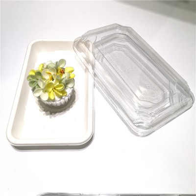 400 ML Disposable Sugarcane Pulp Rectangular Sushi Tray