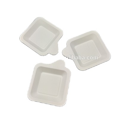 Disposable Biodegradable MiniPlate