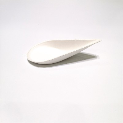 Spoon Shape Mini Plate Eco-friendly Biodegradable Plate